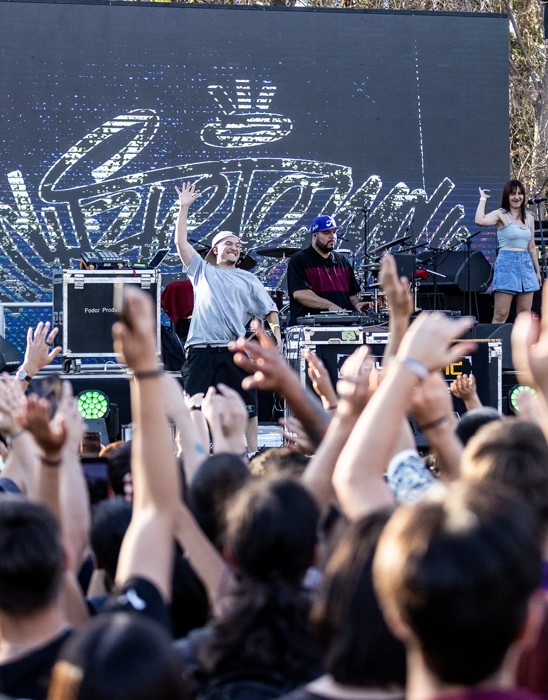 Universidad del Desarrollo